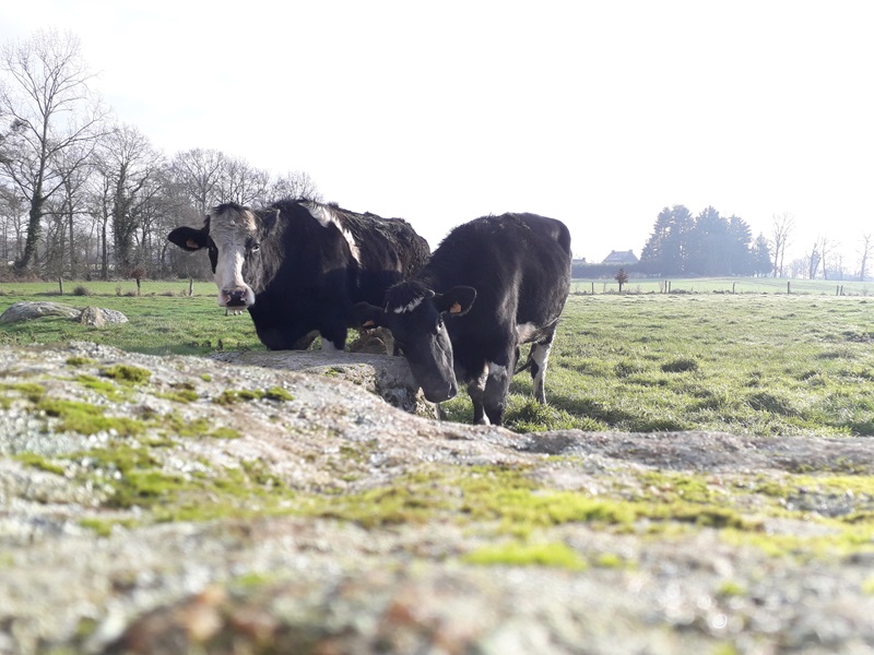 Ferme Le Bio D Orange Office De Tourisme Couesnon Marches De Bretagne