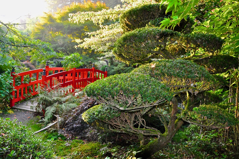 Pont rouge au jardins du Soleil Levant au Parc Botanique de Haute Bretagne